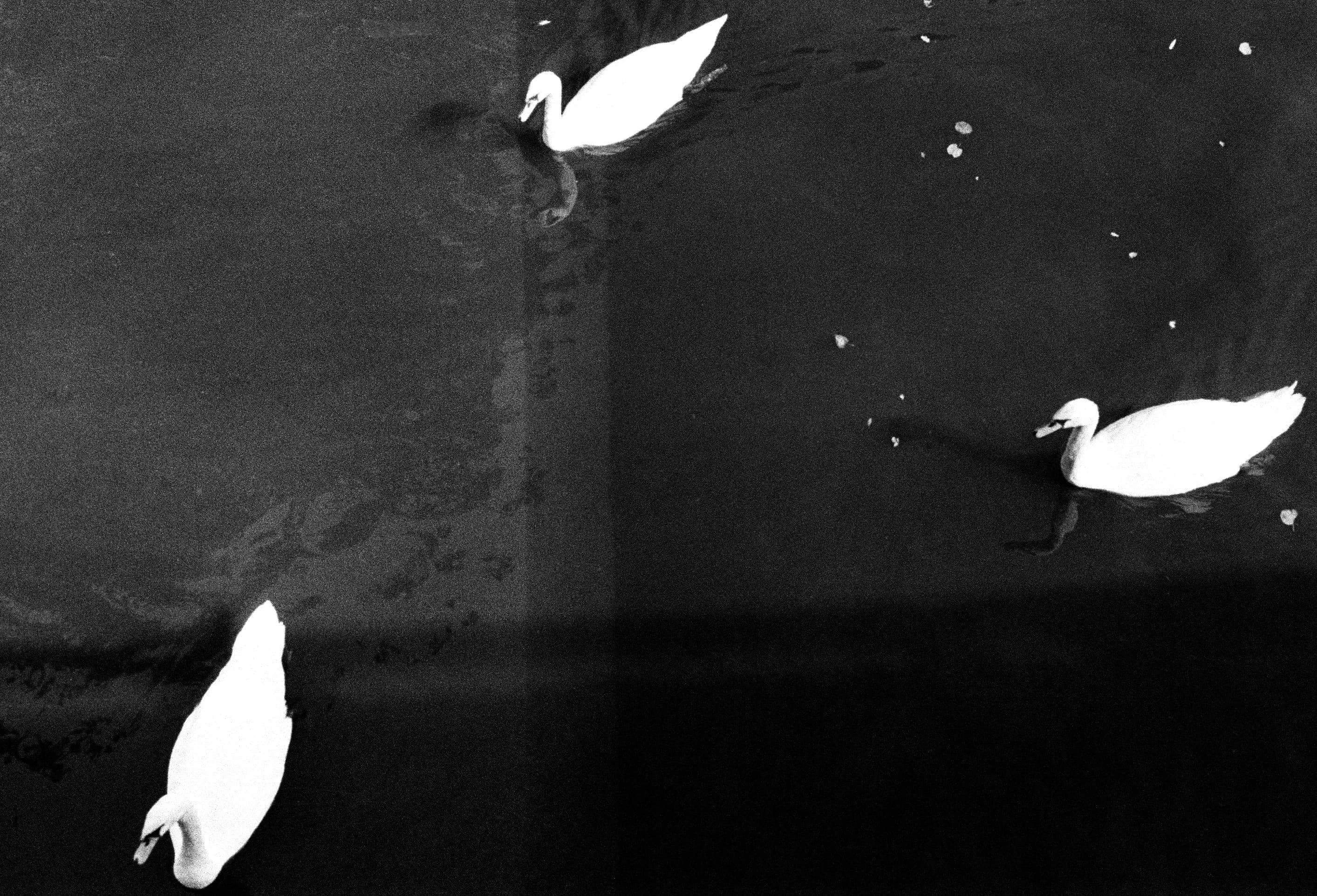 Valentin Mici - Portfolio Hero